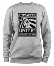 Lade das Bild in den Galerie-Viewer, Styletex23 Sweatshirt Introverts Unite Fun, XXL grau